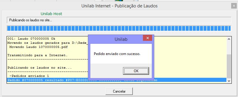 Pedidoenviadocomsucesso.JPG